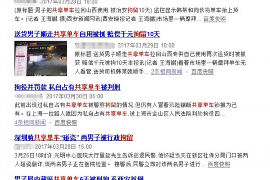 莱城债务清欠服务